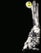  Avatar   alkarid